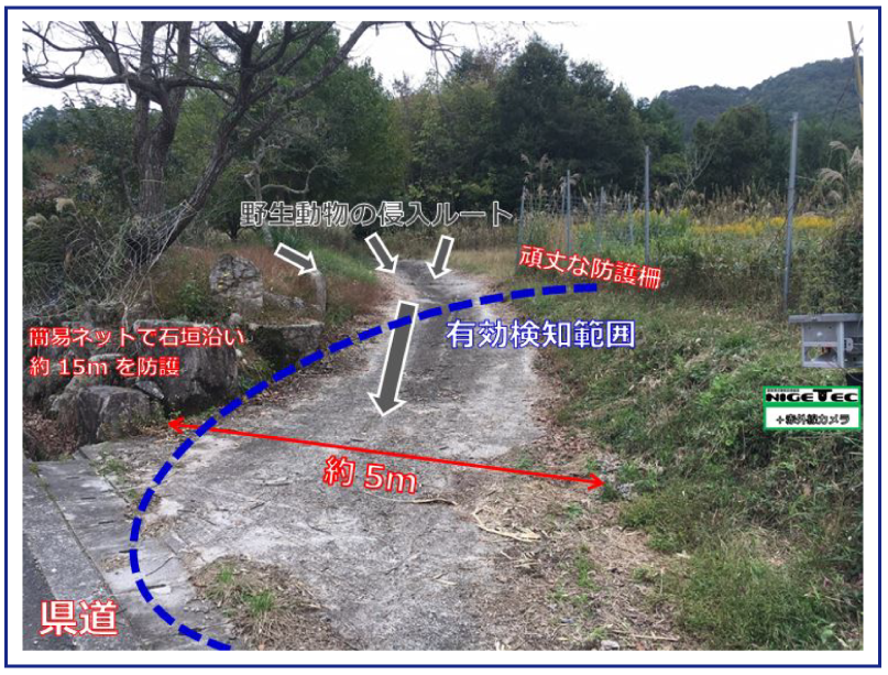 シカに対する忌避実験事例（当社独自）