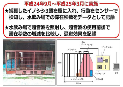 開発室内実験の内容