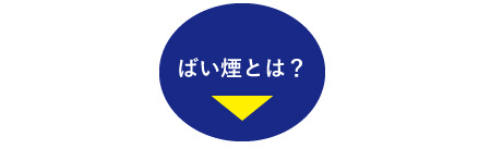 煤煙とは?