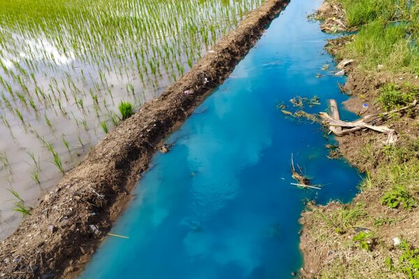 土壌汚染と病気の関係